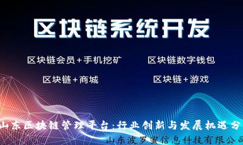  山东区块链管理平台：行业创新与发展机遇分析